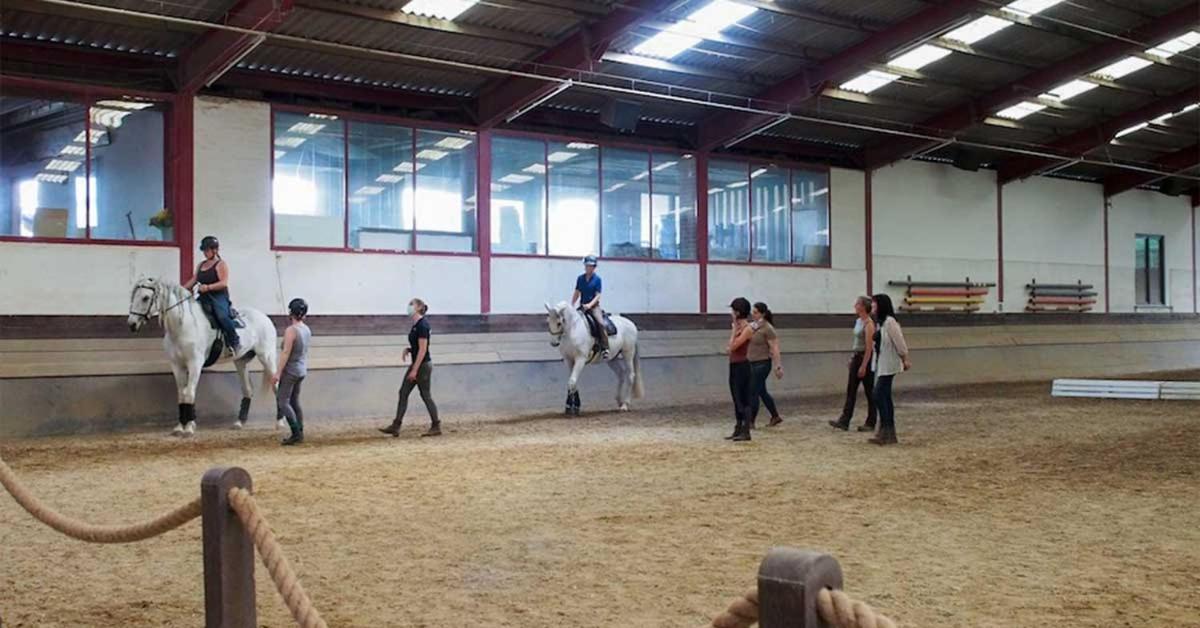 Equi-Art Reitanlage Otel Schwall Dış mekan fotoğraf