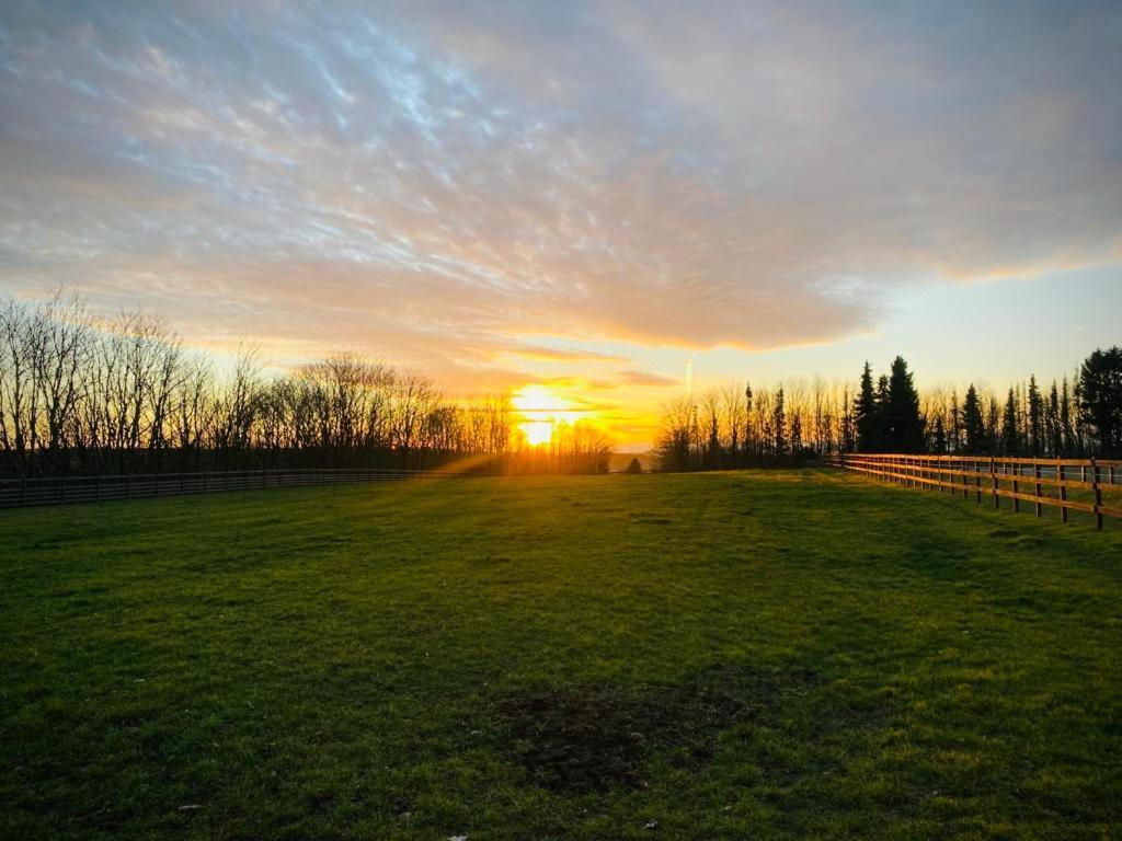 Equi-Art Reitanlage Otel Schwall Dış mekan fotoğraf