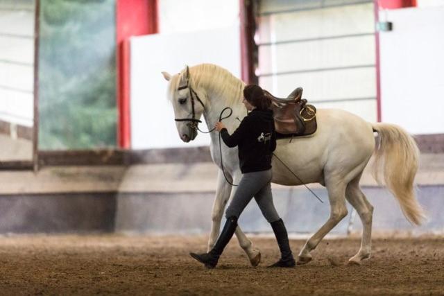 Equi-Art Reitanlage Otel Schwall Dış mekan fotoğraf